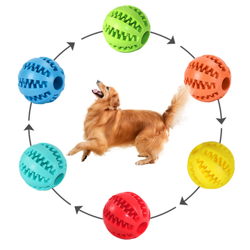 6pc Busy Ball Set